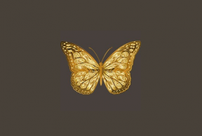 <h1>黄金趋势跟踪和反趋势Gold Butterfly Scalper Pro外汇EA下载</h1>