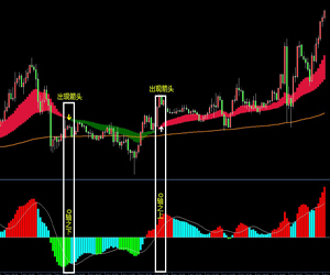 顺势为王外汇MT4指标周期不限